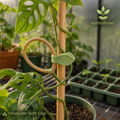 Sproutivae™ Vinepath Soft Clip — Flexible Plant Training Loops