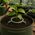 Plant Care
